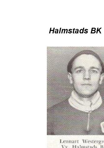 Lagsida Halmstads BK